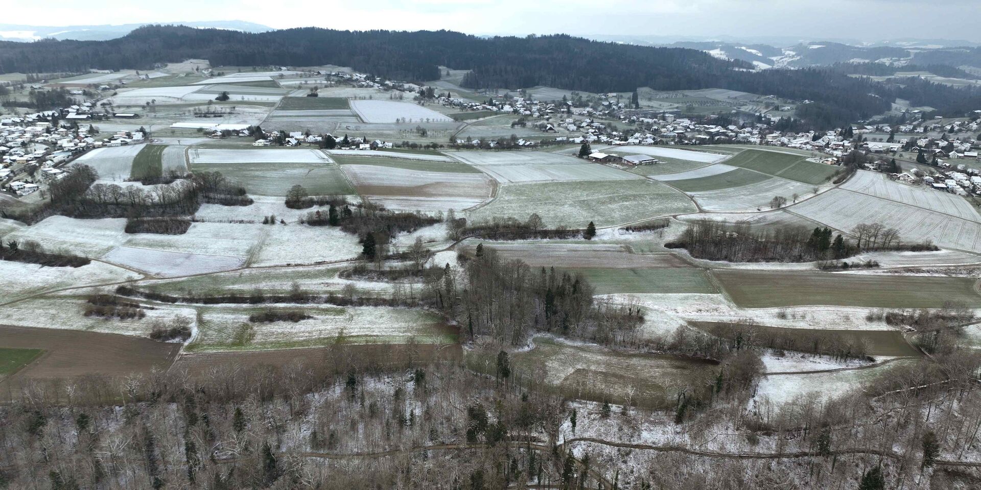 Witterung